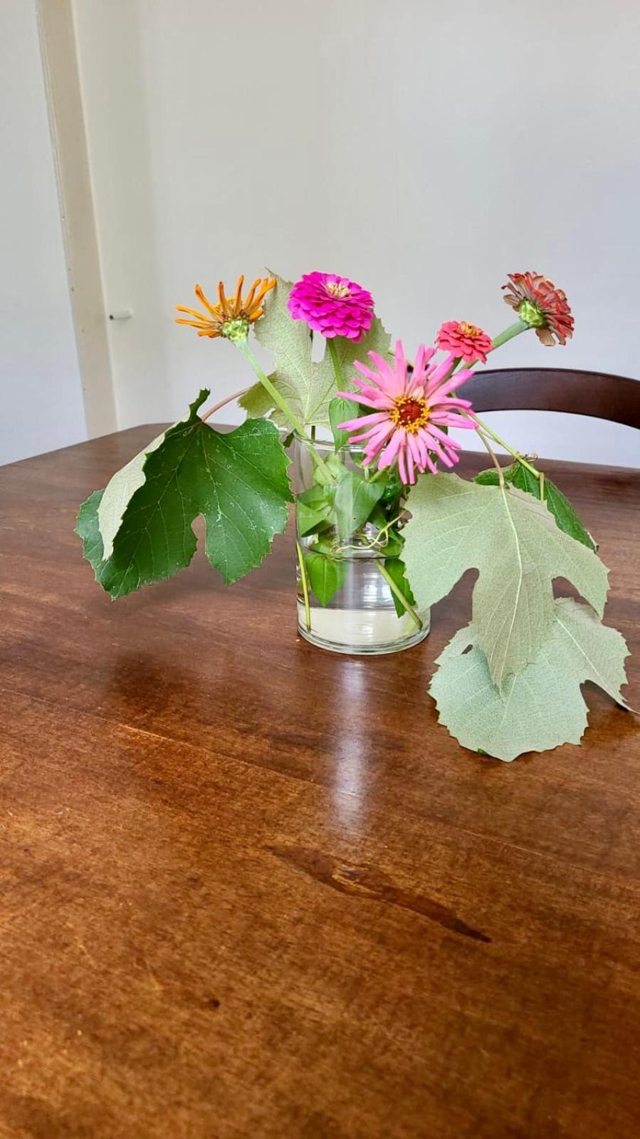 Appartement Antica Casa Storica Con Giardino à Domodossola Extérieur photo
